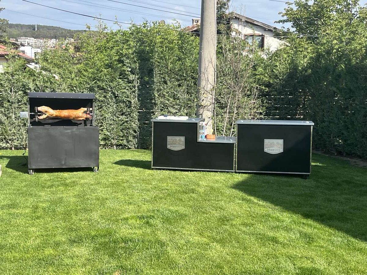 Професионална кухня на Ивейн 2011